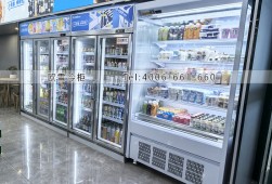 便利店冷柜-廣州哪里有賣便利店飲料柜?