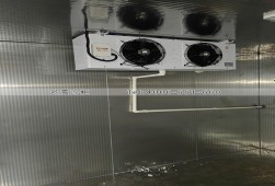 冷庫建造-湖南永州小型食品冷庫安裝